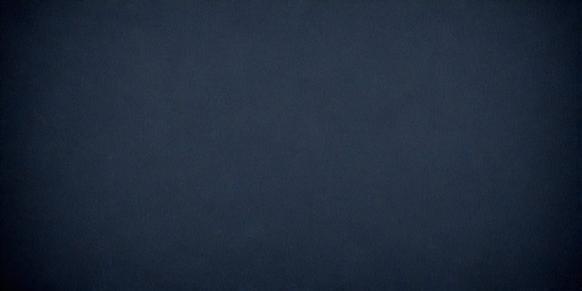 1bec0092-4fb1-41a7-a784-154f08d06fa6-freepik__dark-blue-canvas-background__40854_250929164853_00001.png