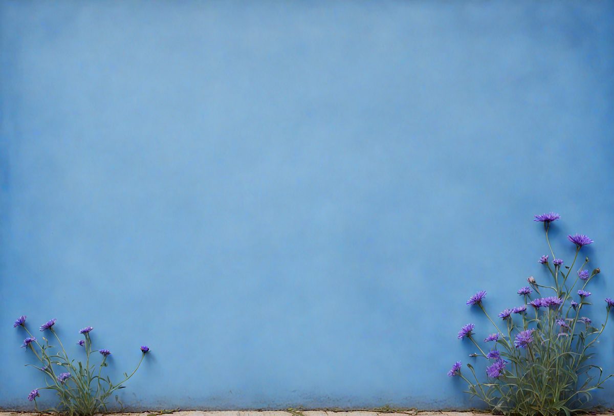 1cdabc50-7cb2-4033-9351-520b06d6d45f-freepik__background-of-organic-shadow-over-cornflower-blue-__65642_250928020621_00001.png
