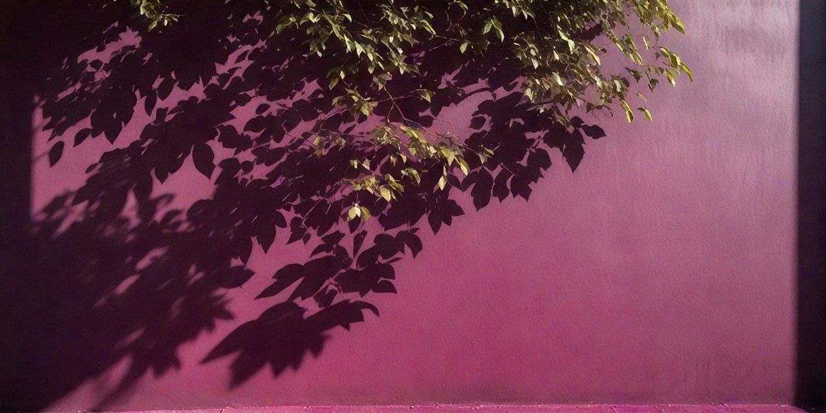 1d672dd2-05a8-4bc8-9c91-3c4d7440065d-freepik__leaves-shadow-and-tree-branch-background-natural-l__13168_251009135938_00001.png