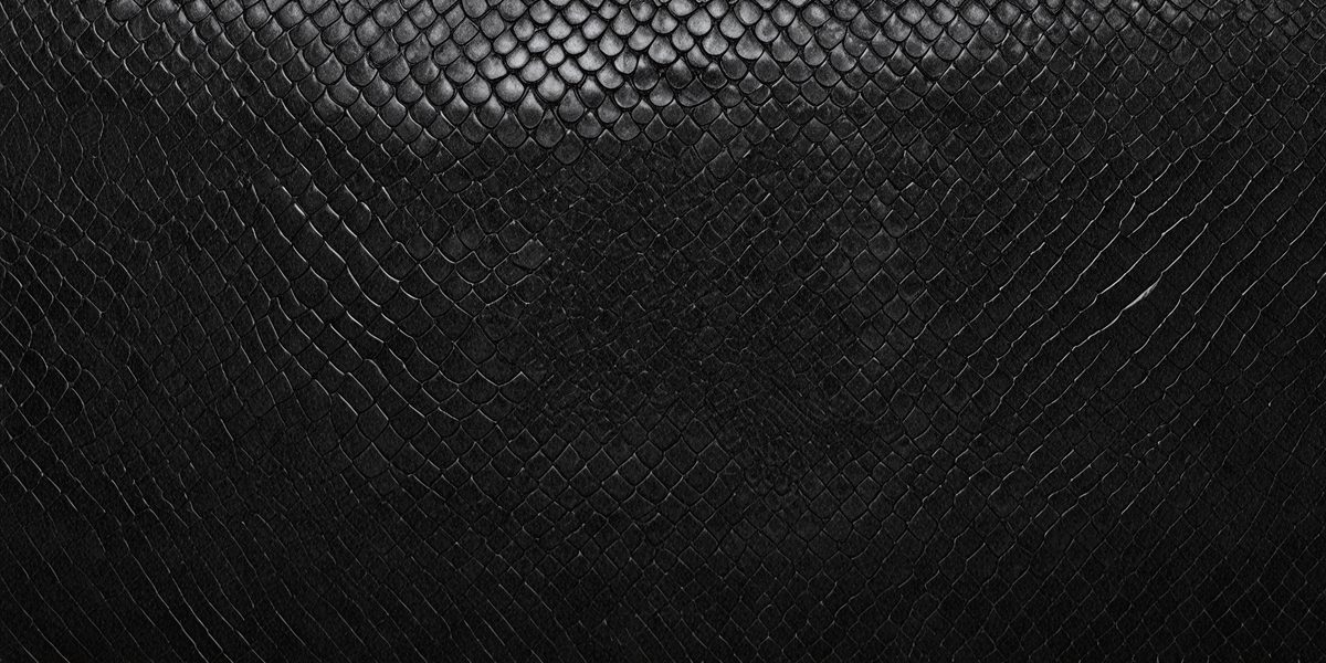 1f95c995-a976-45ce-acaa-846a5d0e301a-freepik__black-snake-skin-background-panoramic-web-banner-w__98466_250525025616_00001.png