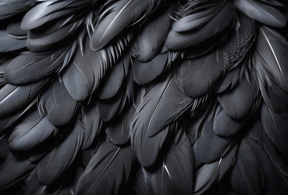 200c675f-e996-476b-b526-d43d3c674a51-freepik__close-up-of-black-feathers-background-top-view-cin__93867_250525072405_00001.png