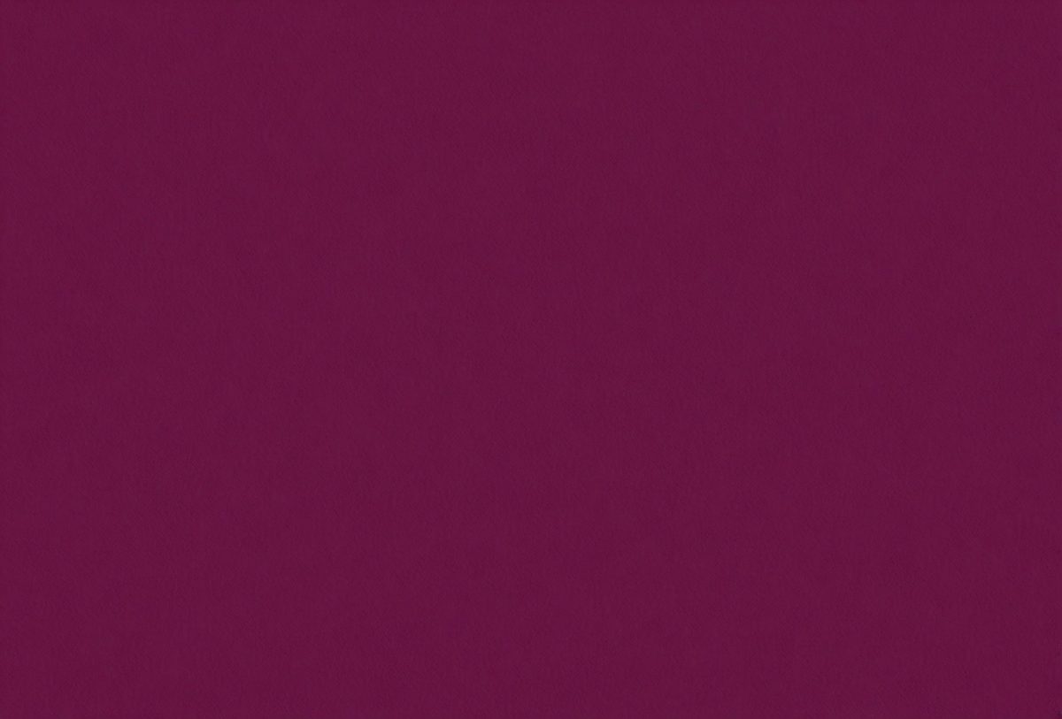2017eeed-fcf2-4da1-a7cd-c6e2f6c26ab8-freepik__dark-magenta-color-paper-texture-pattern-abstract-__5355_251008011907_00001.png