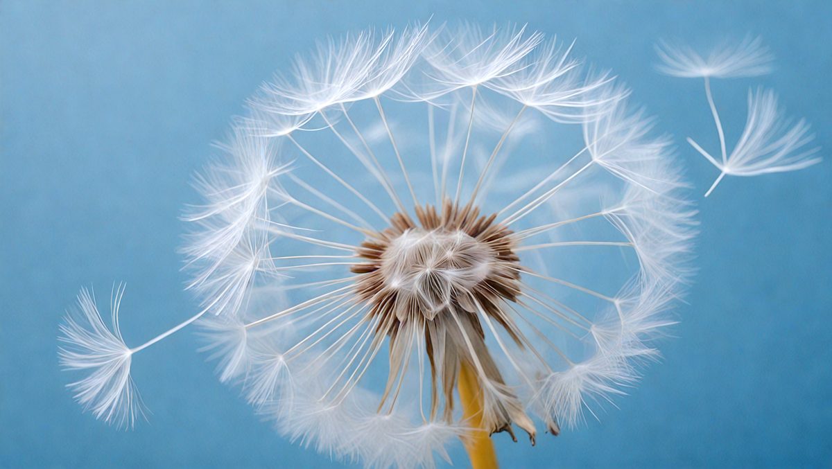 20d70315-e320-4c3e-99e2-22844e4d04f7-freepik__close-up-of-dandelion-on-the-blue-background__58015_250524193429_00001.png