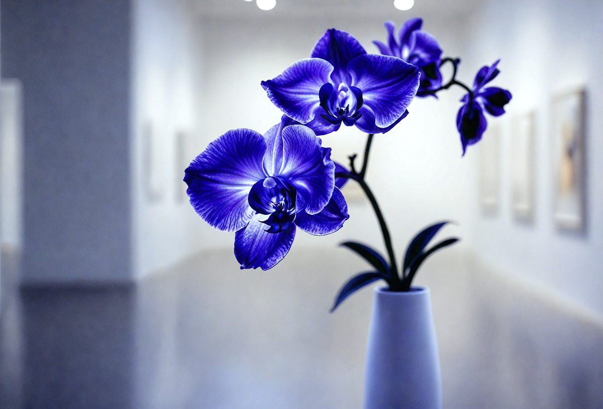 2101f3e5-a684-4b02-a7a2-0c63d46764e3-freepik__a-soft-artificial-glow-illuminates-a-quiet-modern-__75869_250523100734_00001.png