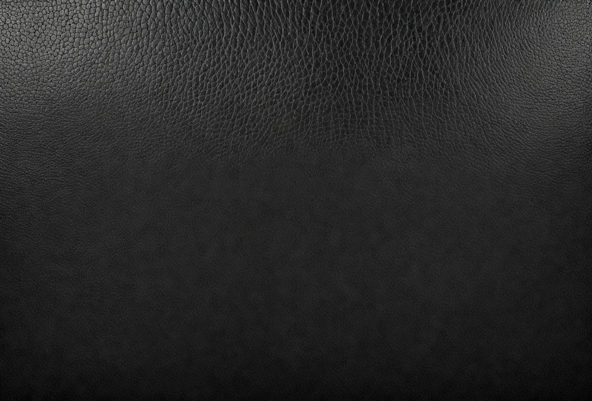 21559c56-989d-4707-8c57-d4314987422e-freepik__black-leather-background-texture-abstract-close-up__76559_250524223210_00001.png