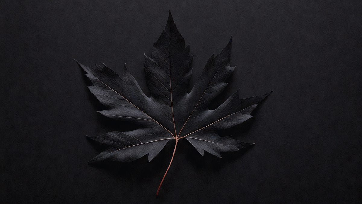 2271b217-9b5d-437d-870b-d6bca95e527f-freepik__black-leaf-on-black-background__93525_250524223125_00001.png