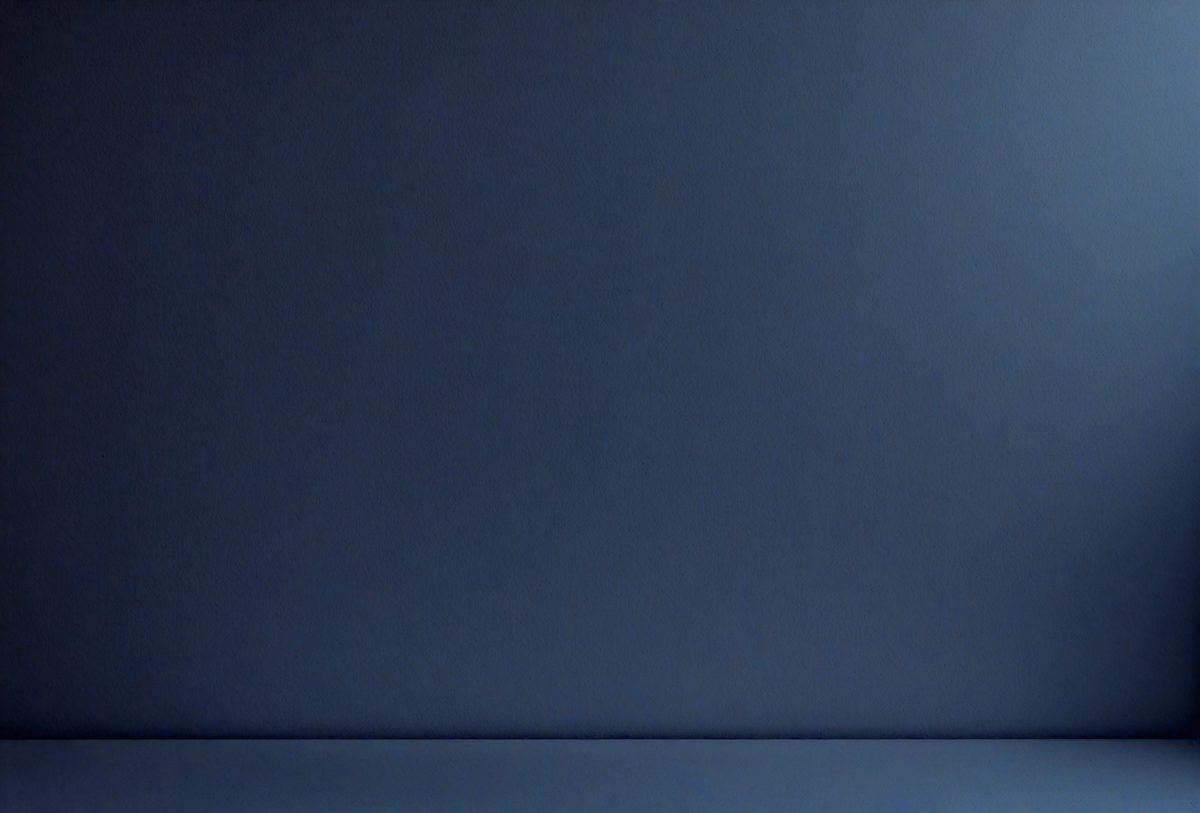 22a20b54-fc7b-429b-9464-2cc1e163290c-freepik__minimalist-gradient-with-dark-blue-and-soft-shadow__21874_251001112508_00001.png