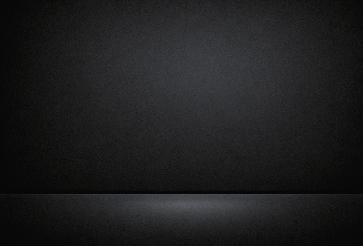 23328def-431b-4d63-965f-0b6ddd49a305-freepik__elegant-black-background-with-faint-lighting-accen__93491_250525121142_00001.png