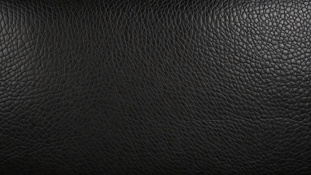 237adc83-6a01-41a6-a7a7-1b4a99f9491c-freepik__panorama-of-black-leather-texture-and-background-c__11683_250525210253_00001.png