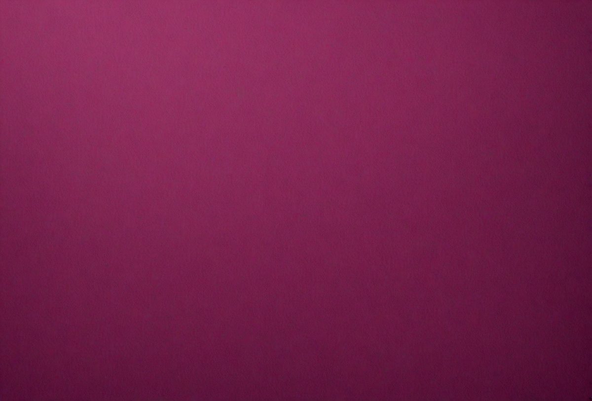 278e2441-771a-41a9-be52-66da78b2a73b-freepik__blank-dark-magenta-paper-texture-background__32799_251007171712_00001.png