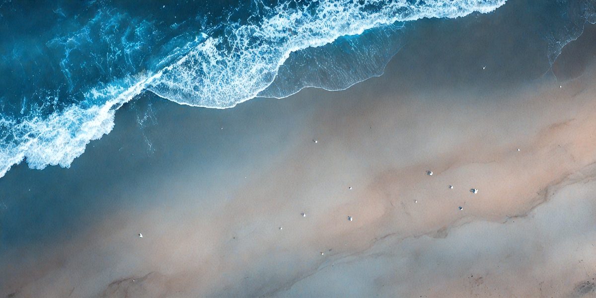 27e53047-76ab-4ca9-a644-f15a9a213005-freepik__seascape-with-seagulls-on-dark-blue-a-sandy-beach-__47698_251002095417_00001.png