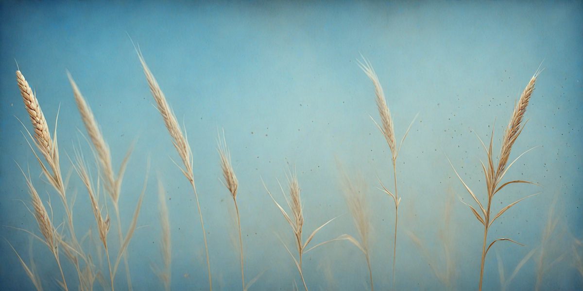286278aa-f05b-448b-8546-676d3f916369-freepik__abstract-dust-particle-and-dust-grain-texture-on-c__3551_250928014728_00001.png