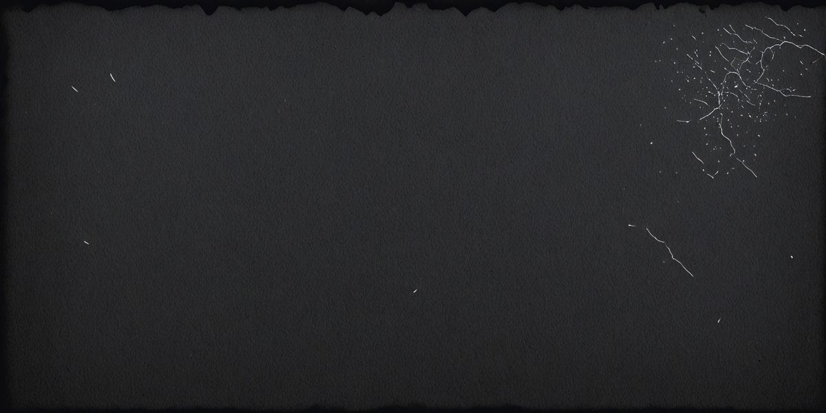 2a795e63-629e-464f-976c-8519670d5b6c-freepik__black-paper-texture-page-of-the-old-photo-album__74934_250524225356_00001.png