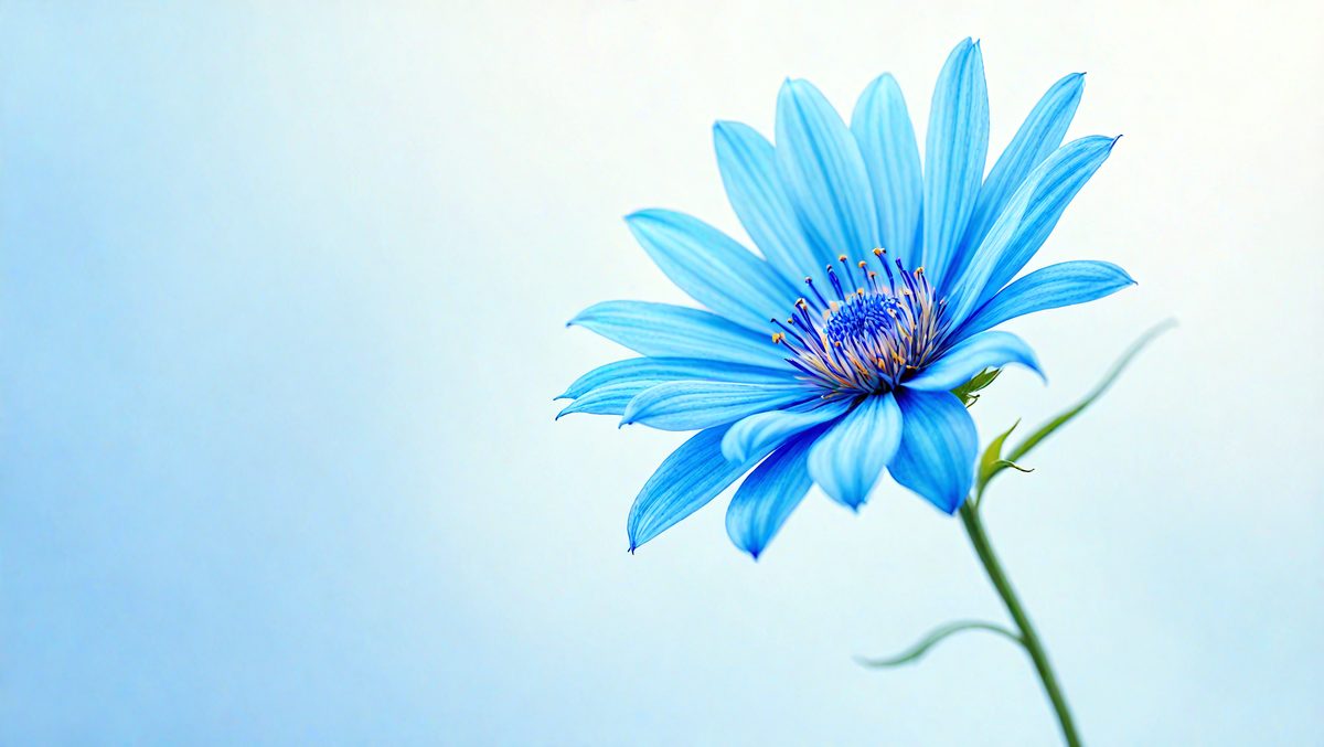 2adcab21-d479-4043-b7f4-0928d2622ead-freepik__a-single-cornflower-with-vibrant-blue-petals-again__93240_250928012657_00001.png