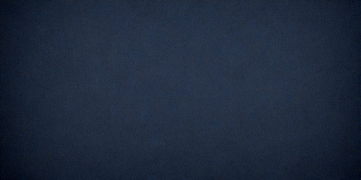 2b589f2f-3116-4d4b-8dd8-63f27c7b0841-freepik__dark-blue-canvas-background__40856_250929164904_00001.png
