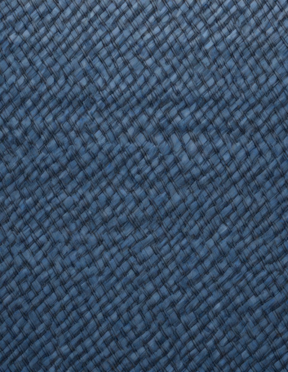 2b80384c-0c77-4c38-a7fb-d6c1b67cf61c-freepik__alice-blue-marble-color-carbon-fiber-tech-look-wit__49351_00000.png