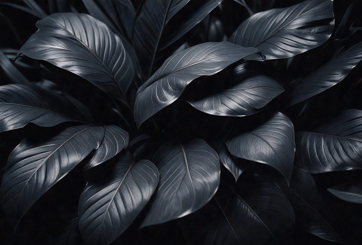 2c0ef618-a776-474d-8b93-bdd6247b5ea4-freepik__closeup-tropical-black-leaves-texture-and-dark-ton__35613_250525072752_00001.png