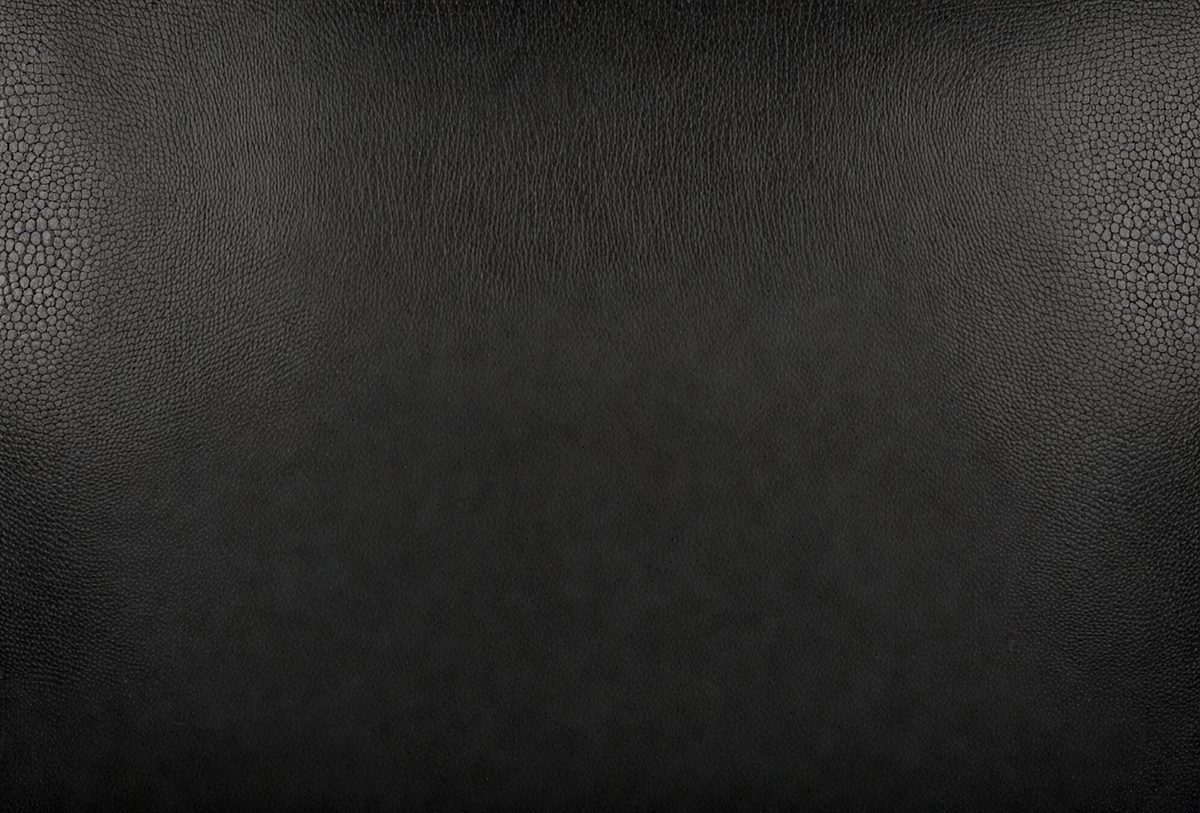 2cd7e128-341f-4d8b-a5aa-d4c5e216449b-freepik__panorama-of-black-leather-texture-and-background__11730_250525210326_00001.png