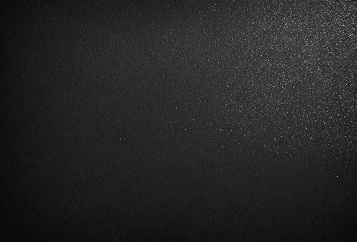 2e07f803-b3ac-4701-8c74-8a9b62b0ae92-freepik__black-colored-textured-background__88982_250524181535_00001.png