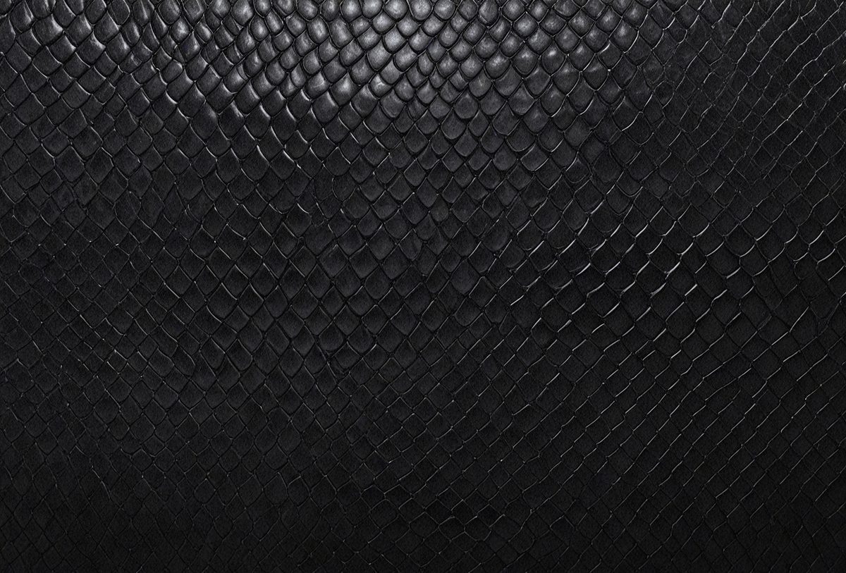 2e9a27a6-7073-4b1d-a11c-1a193179750f-freepik__black-snake-skin-background-panoramic-web-banner-w__98137_250525025558_00001.png