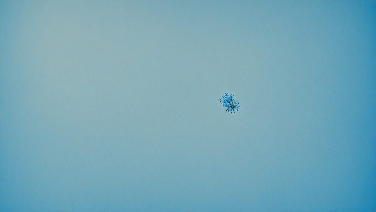 2f1efe00-ac91-4e65-9b32-00e66a874e19-freepik__35mm-film-photography-a-blank-cornflower-blue-pape__42425_250928010643_00001.png