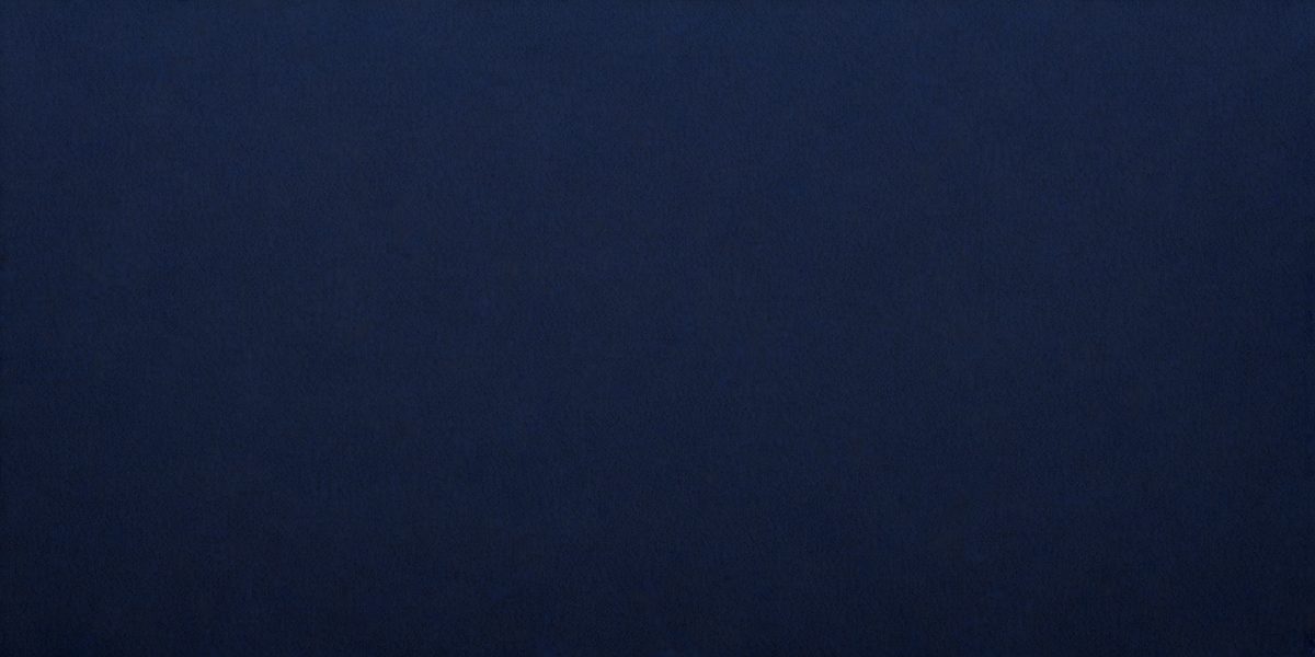 30f9f8ab-a9c6-46dc-bf3c-b858c6c6ba90-freepik__dark-blue-paper-texture-background__29987_250930004251_00001.png