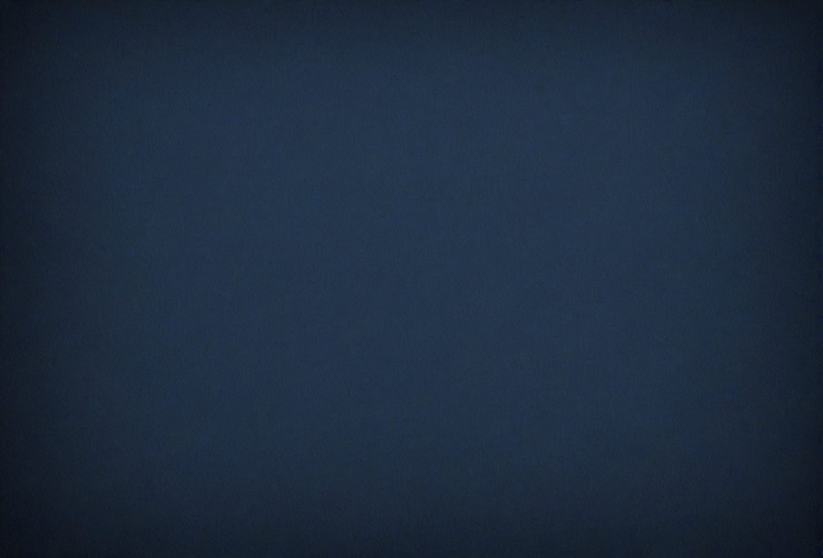 314ea707-24c8-4cbd-b8a3-0efc2cce9315-freepik__dark-blue-background-at-the-wedding__40557_250929163150_00001.png