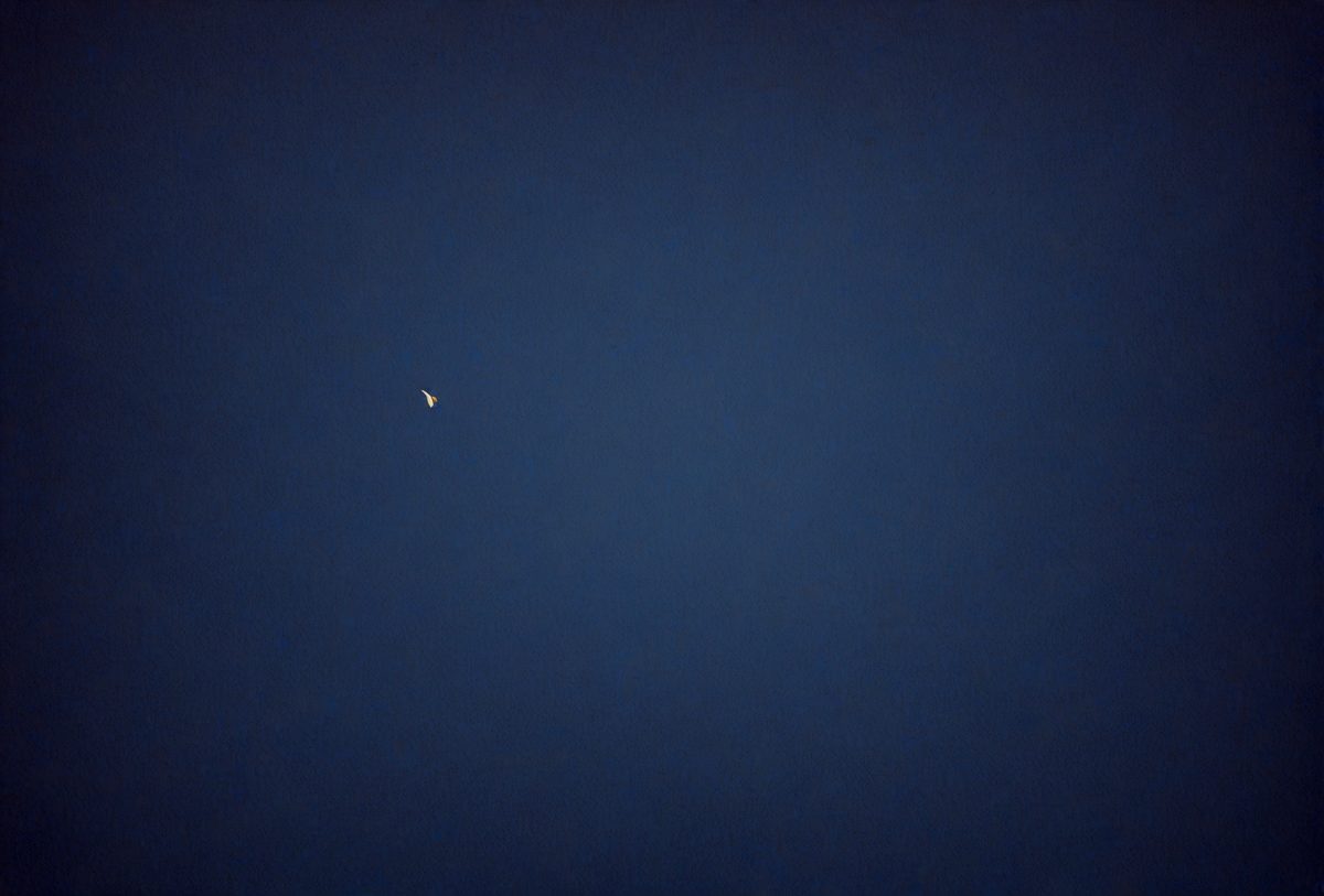 The primary subject of the image is a bright star in the night sky. The setting is a dark, cloudless night with a clear view of the star. The visual style is a photo of the night sky, capturing the beauty of the star against the backdrop of the dark sky. The colors and mood of the image are predominantly dark, with the star being the brightest and most prominent feature in the scene.