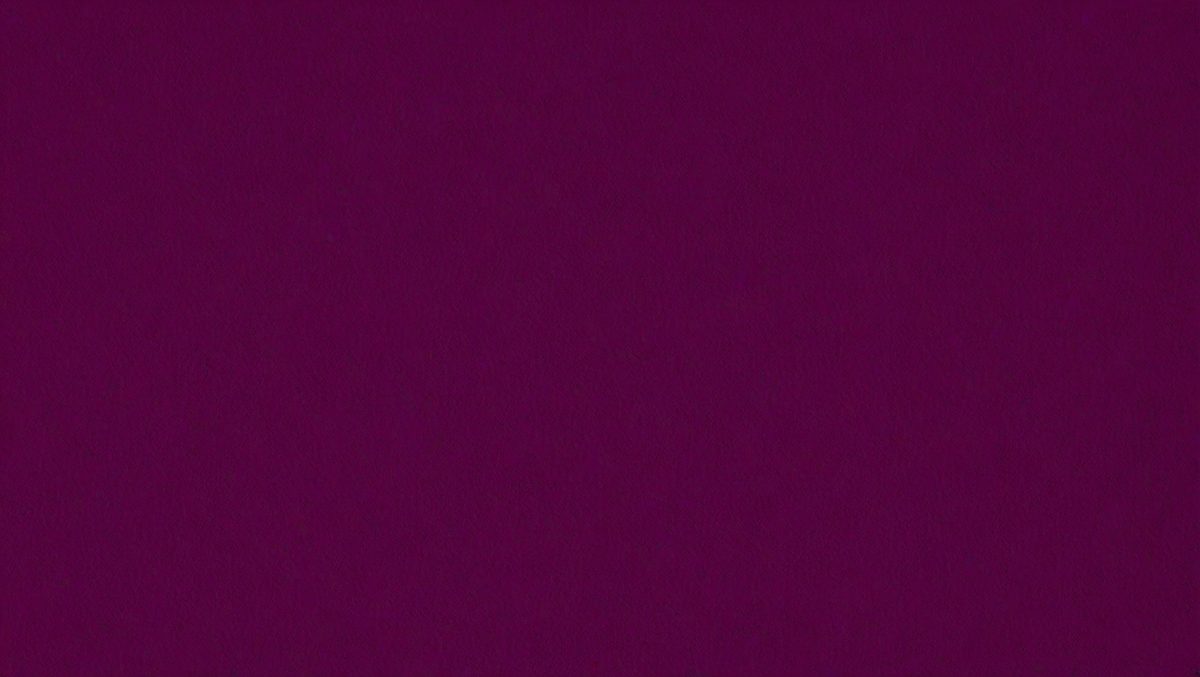 32b979f1-3a3a-4c6d-ab09-b2e05eef57eb-freepik__dark-magenta-corduroy-background__13612_251008012732_00001.png