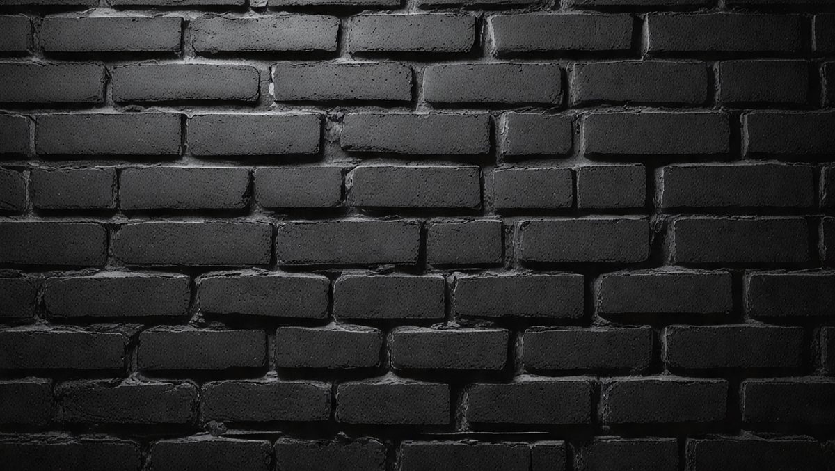 The primary subject of the image is a brick wall. The setting is a dark room, and the visual style is a black and white photo. The dominant colors are black and white, creating a moody atmosphere.