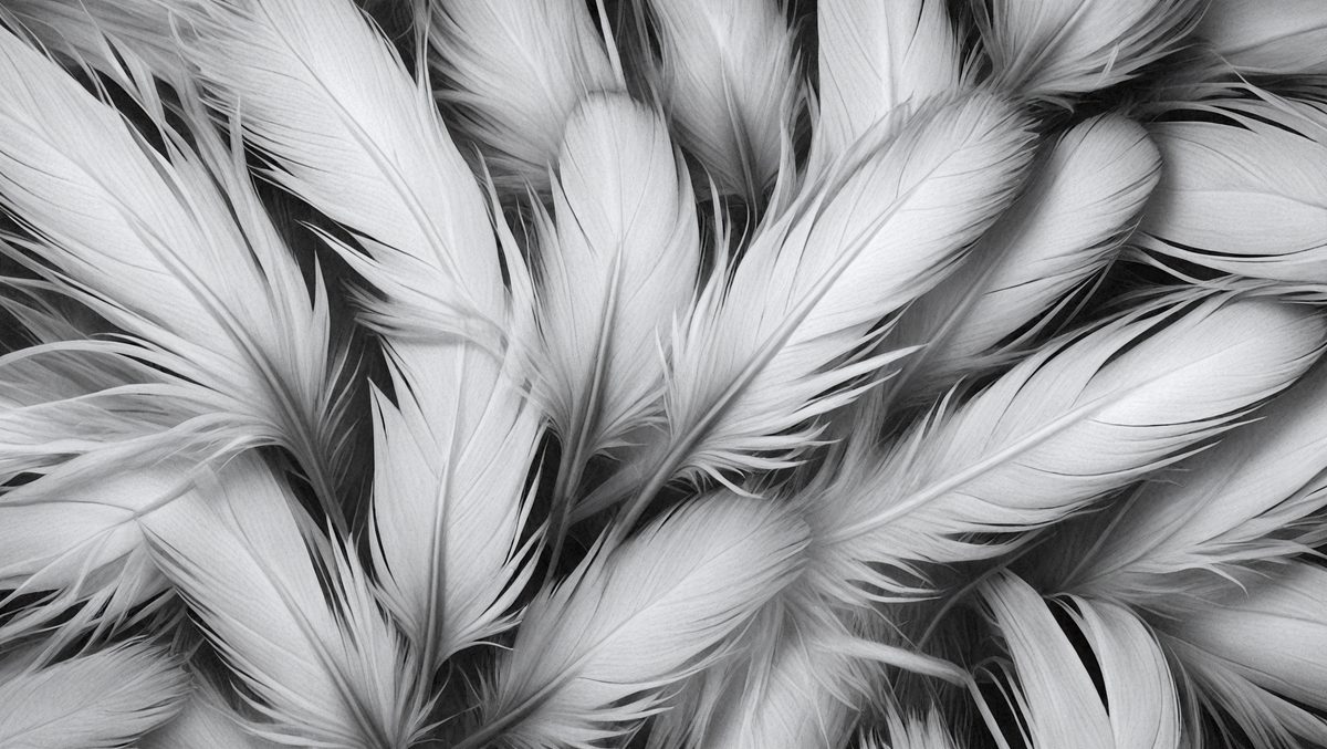 355d5399-b75b-4791-ae73-10fb47430f1f-freepik__black-and-white-feather-texture-clean-corn-flower-__43969_250928020911_00001.png