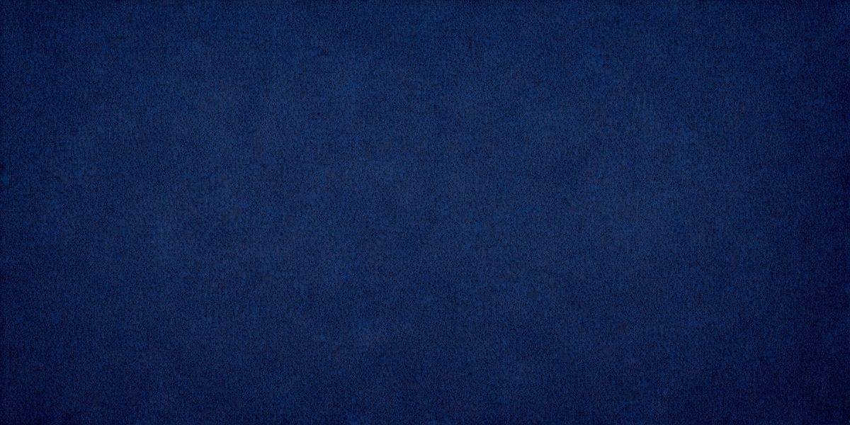 35ff3ef2-3693-46d4-bc4d-c3341087ac68-freepik__dark-blue-fabric-texture-textile-canvas-background__41770_250930000811_00001.png