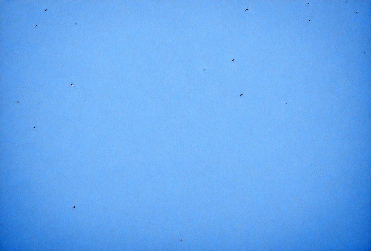 38f3a7f6-3237-4d9a-8b53-508591b57b87-freepik__white-concrete-wall-as-cornflower-blue-background__6775_250928093837_00001.png