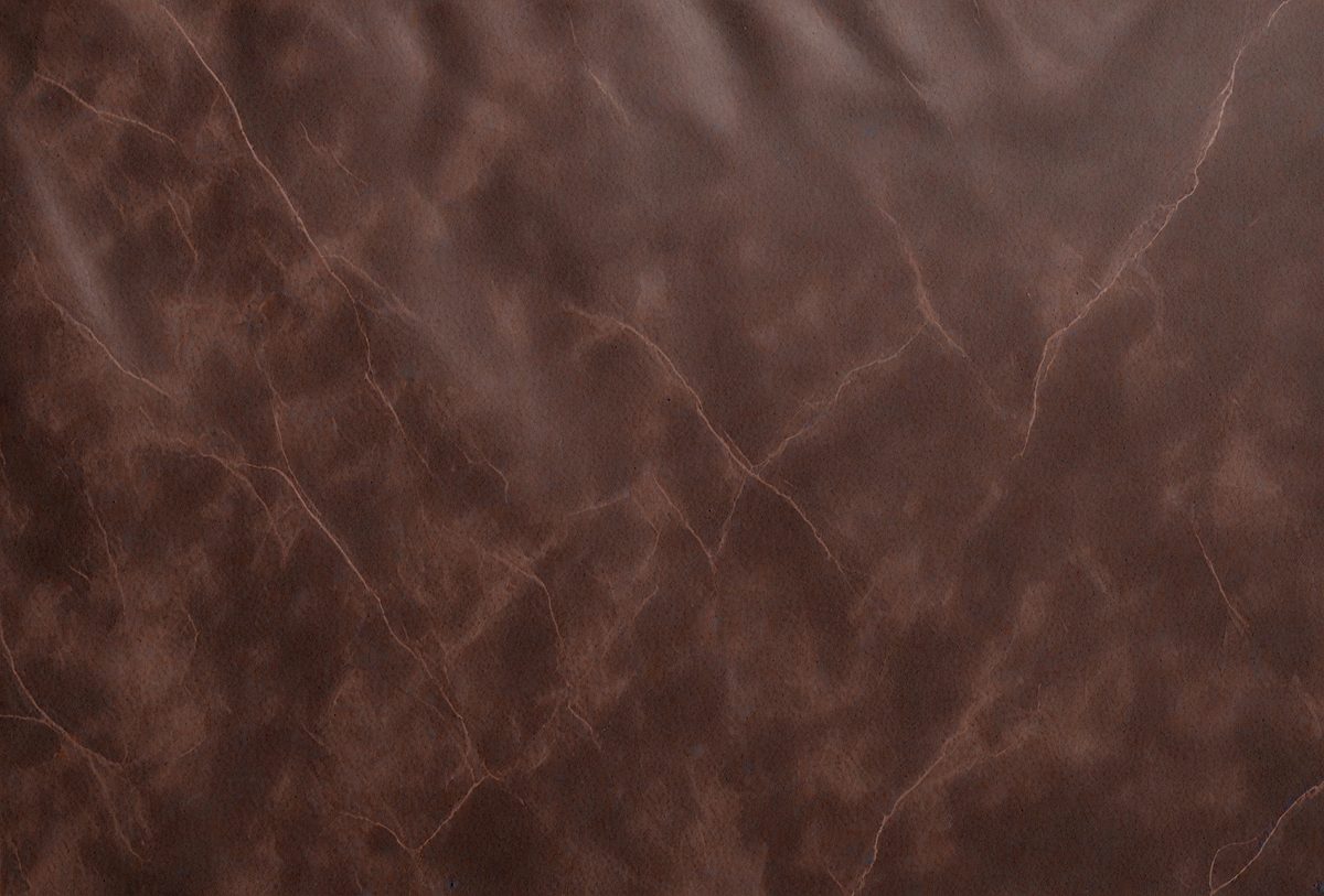 The primary subject of the image is a brown leather surface. The setting is a close-up of the leather, showcasing its texture and pattern. The visual style is a realistic representation of the leather, capturing its natural appearance. The colors and mood of the image are predominantly brown, giving it a warm and earthy feel.