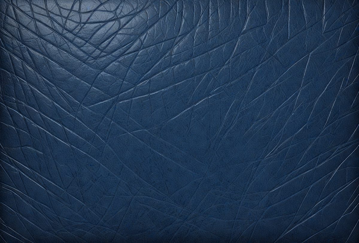 39c484dd-1e62-46ee-a397-39fca6fa7c3a-freepik__comic-style-dark-blue-genuine-leather-texture-back__90652_250524195603_00001.png