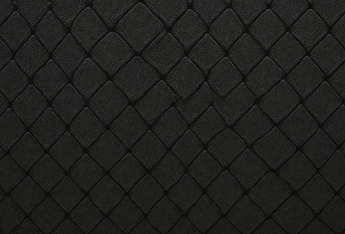 3cb93696-11e6-40ea-a4d8-9aea251f3bd9-freepik__panorama-of-new-black-carpet-fabric-texture-and-ba__93731_250525210518_00001.png