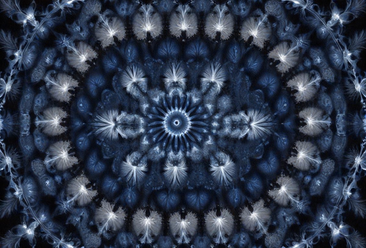 4cc3e7b4-865b-4d3a-ba8d-fd0faadcb7b7-freepik__dark-blue-symmetrical-kaleidoscope-fractal__43366_251001104456_00001.png