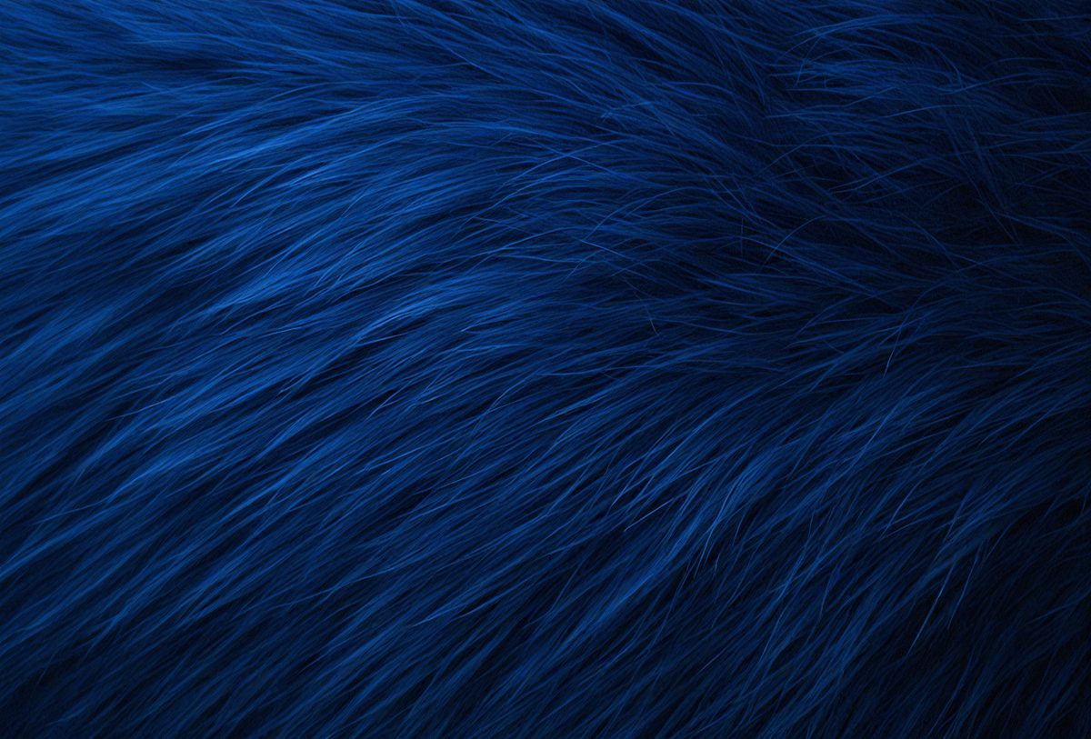 4e02549b-f470-46d8-99c8-a6088e655503-freepik__dark-blue-fur-texture-close-up-dark-blue-fluffy-fu__47857_250930001237_00001.png
