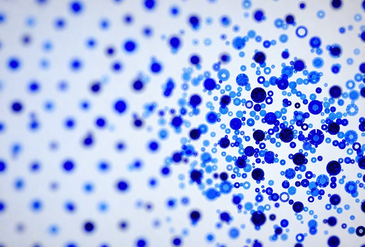 5d30a07d-a98e-4839-adc3-fc5b9acfc358-freepik__abstract-cornflower-blue-dots-arranged-in-a-grid-p__70628_250928014252_00001.png