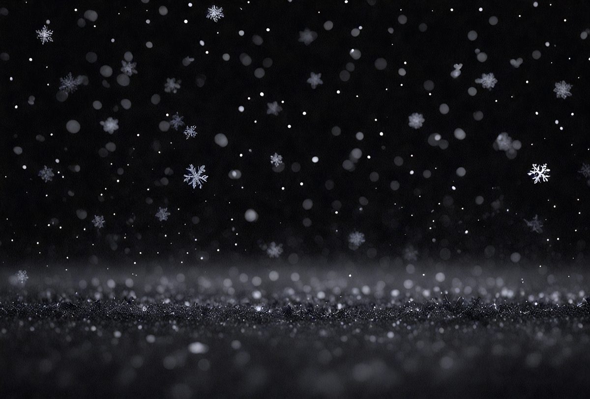5db2e428-91c2-4416-a63e-c3020583ec3a-freepik__bokeh-of-black-snow-on-a-black-background-falling-__93410_250525032108_00001.png