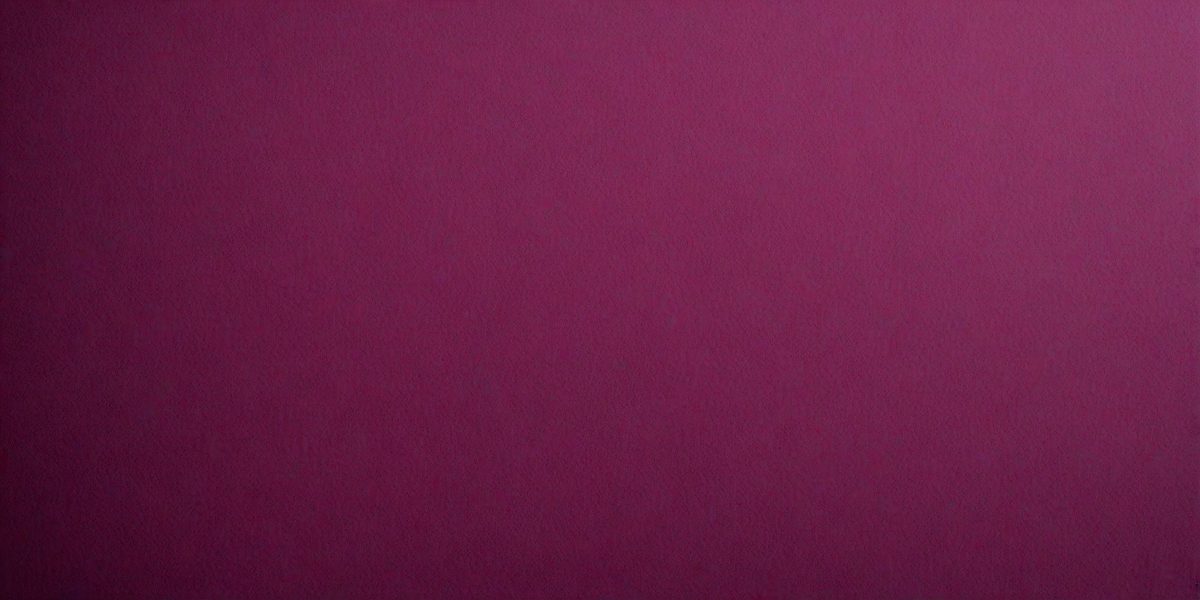 5fd0abd4-5f6d-4798-927a-809bf86d74d8-freepik__dark-magenta-paper-texture-background-close-up__7660_251008022153_00001.png