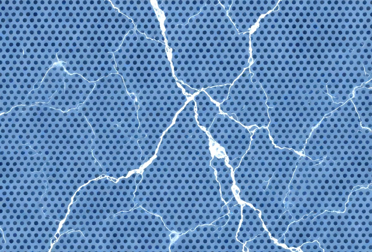 61d58f34-dfca-411b-b583-6c0c88ac92e8-freepik__alice-blue-marble-color-perforated-metal-backgroun__49930_00000.png