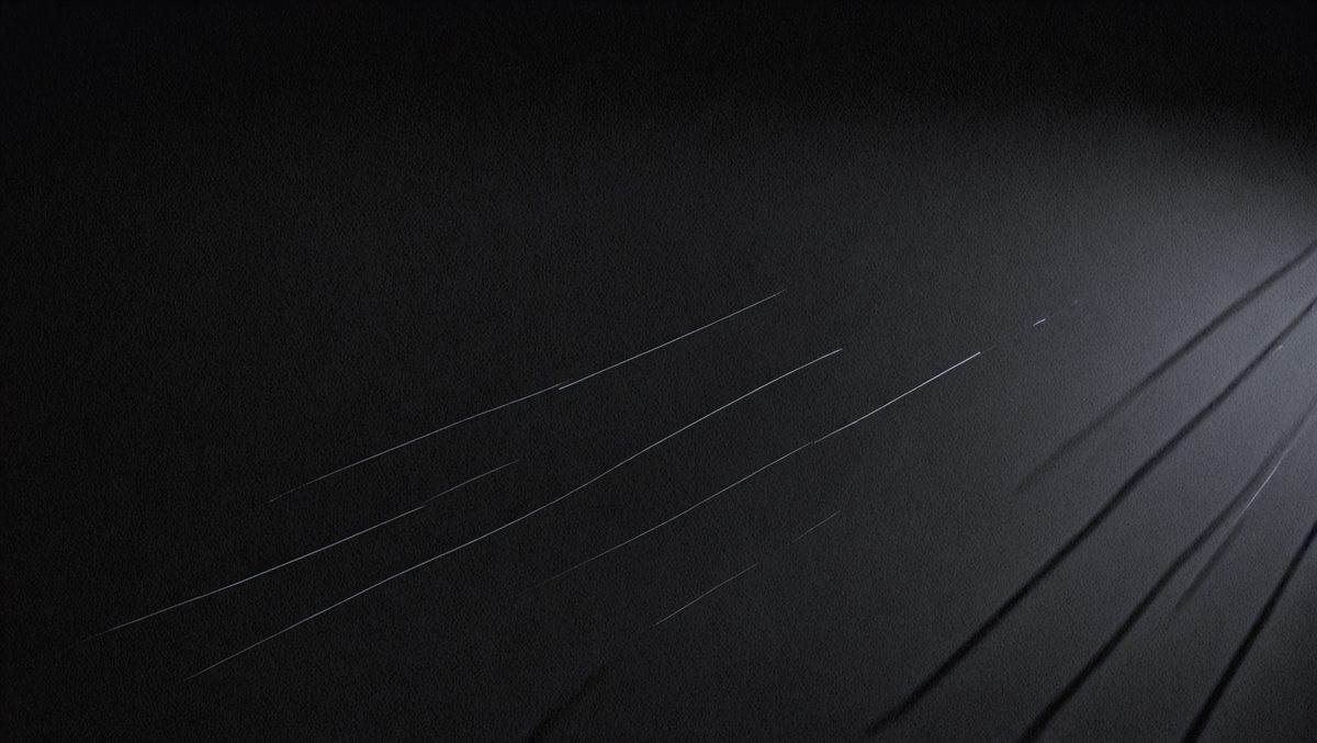 664d4bf5-83ea-4632-b7be-ee86336bc28e-freepik__back-background-black-cinematic-angle-composition-__93700_250524093927_00001.png