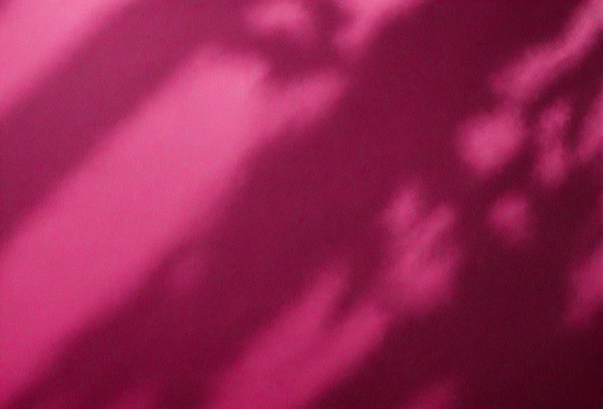 698e09d3-ae95-4654-8bb9-adfaf6b2e3c5-freepik__background-of-organic-shadow-over-dark-magenta-tex__32535_251007171115_00001.png
