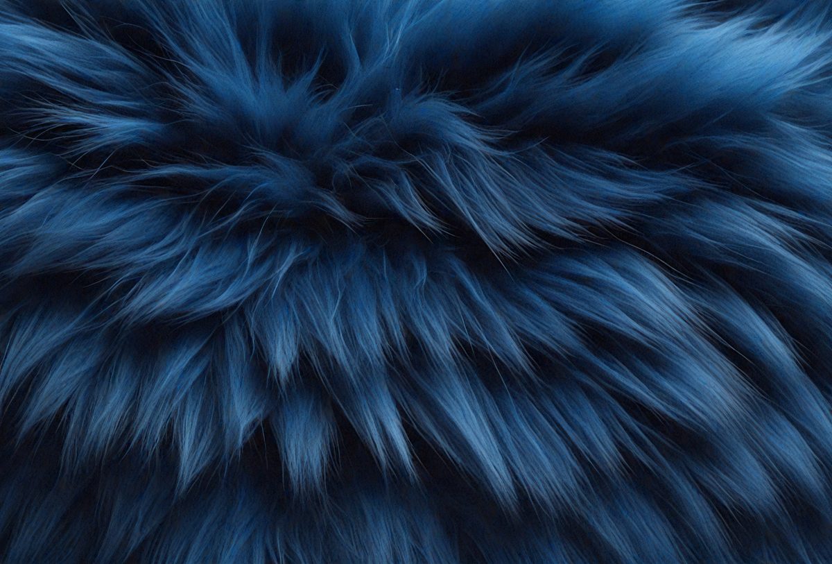 6aa1236c-59b8-4ffe-9704-4d7dc2784a63-freepik__dark-blue-fur-texture-close-up-dark-blue-fluffy-fu__47855_250930001223_00001.png