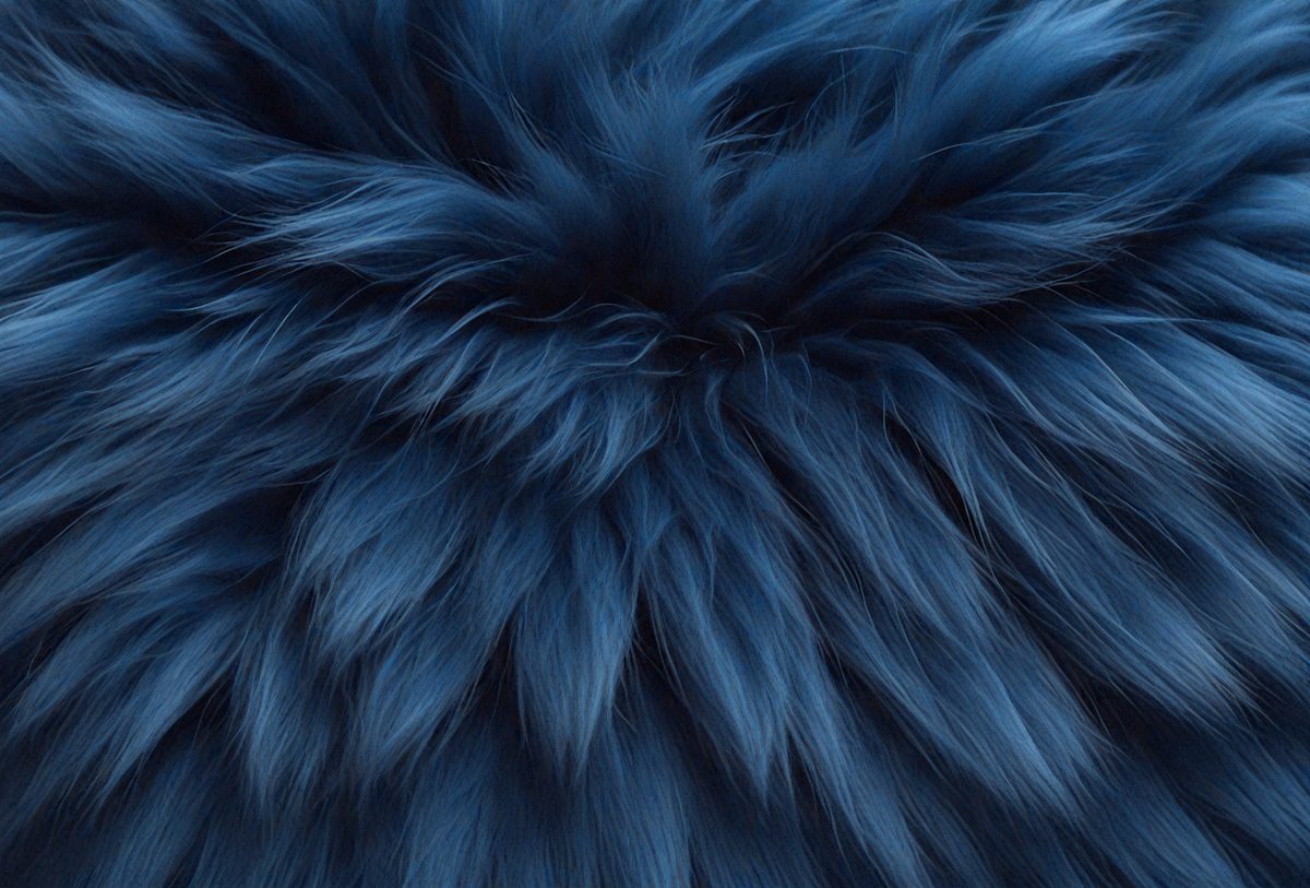 6c3ee9c3-7c95-41e1-ac37-f02a49c59303-freepik__dark-blue-fur-texture-close-up-dark-blue-fluffy-fu__47854_250930001216_00001.png