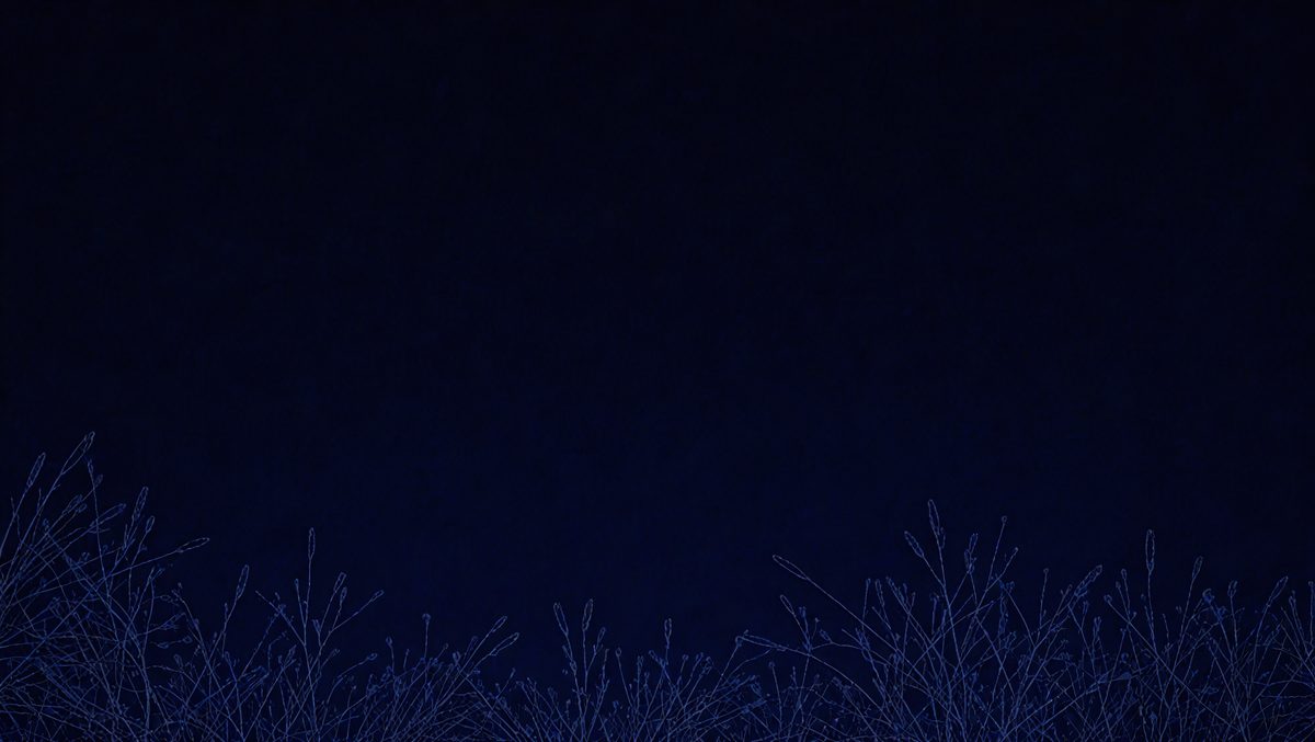 7060135d-3c6b-4b22-a4f8-8122b98f9548-freepik__dark-blue-background__47345_250929163927_00001.png