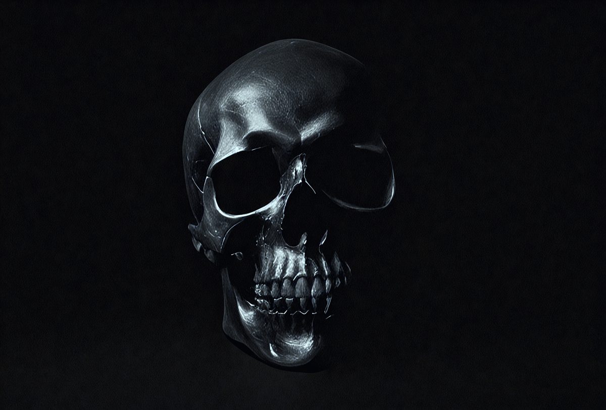 7a964296-2714-4724-9775-674233ff87e4-freepik__black-skull-dimly-lit-against-a-black-background__98081_250525025034_00001.png