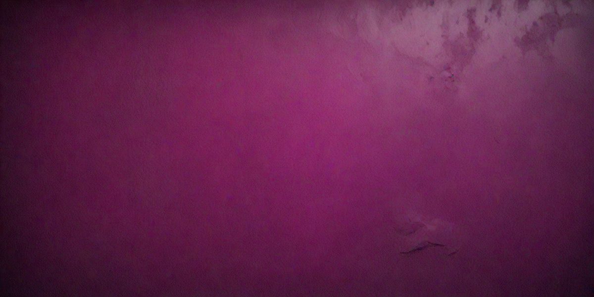 858e27cb-7660-401d-95ff-e912c63b65fe-freepik__dark-magenta-wall-background-and-texture__32282_251009125846_00001.png