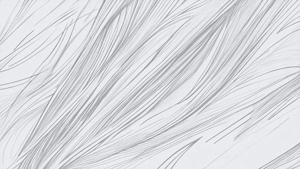 8ae51eaa-5d0d-49d7-8210-373115cc85a9-freepik__sketch-lines-abstract-light-silver-background-vect__72826_250520101456_white_00001.png